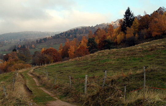 Herfst Zuid-Limburg